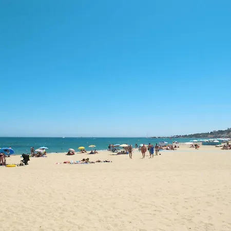 Holiday Cascabelle *